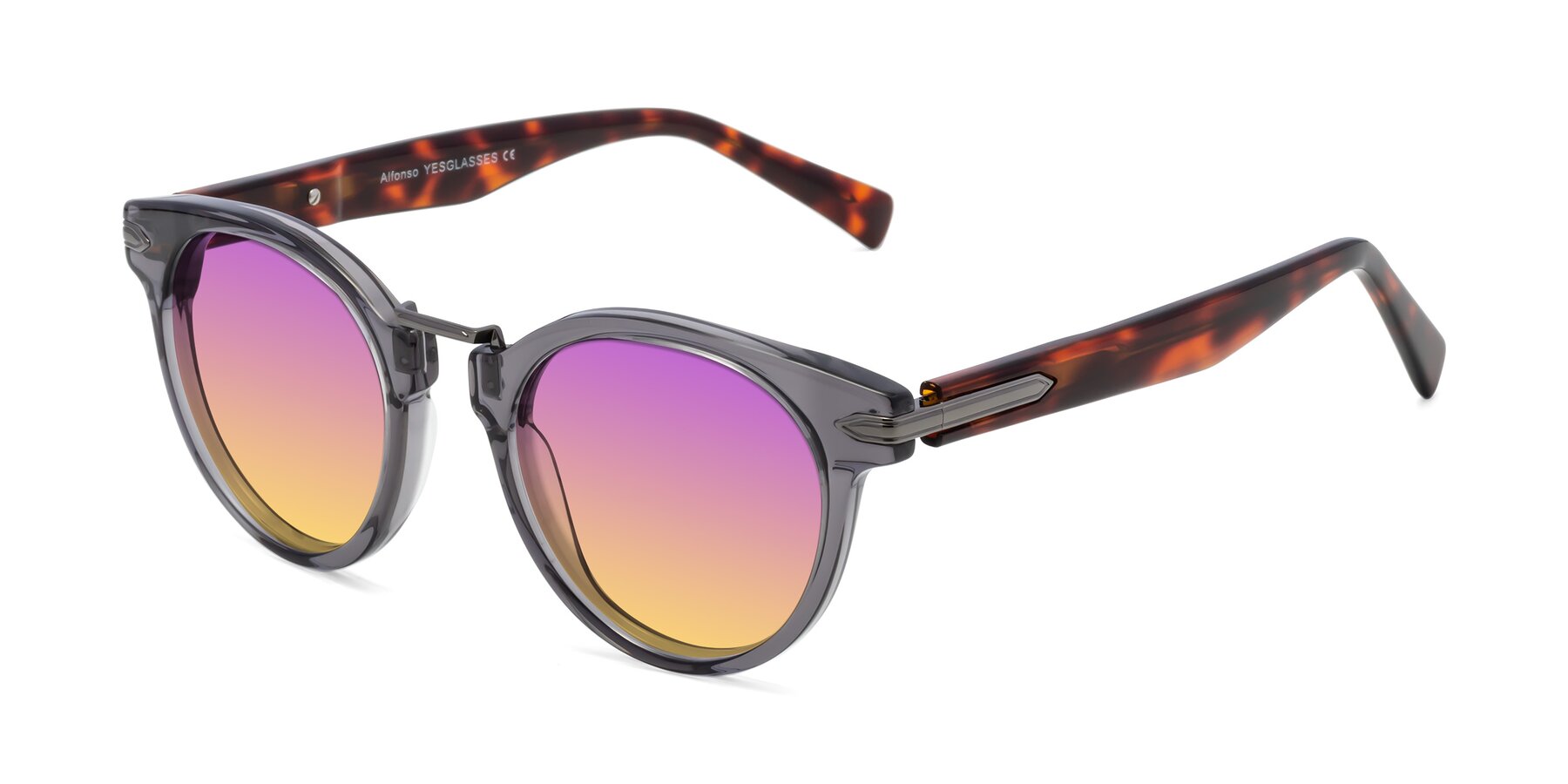 Angle of Alfonso in Gray /Tortoise with Purple / Yellow Gradient Lenses