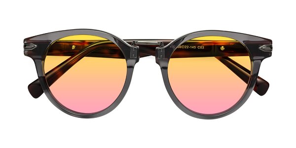 Front of Alfonso in Gray /Tortoise