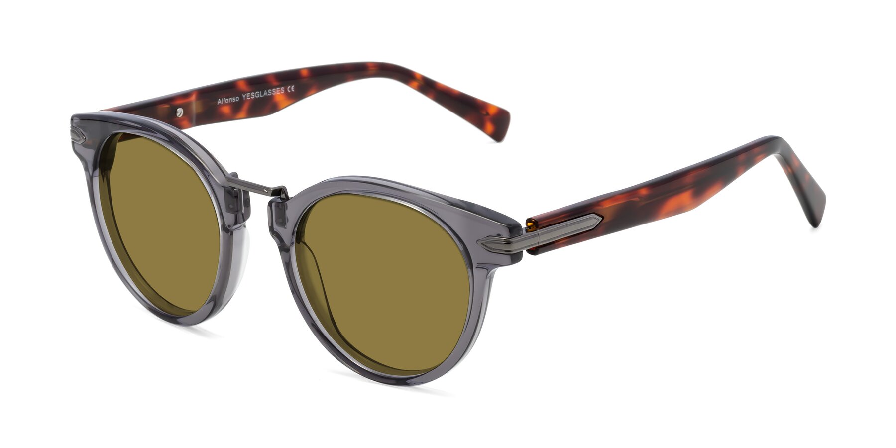 Angle of Alfonso in Gray /Tortoise with Brown Polarized Lenses