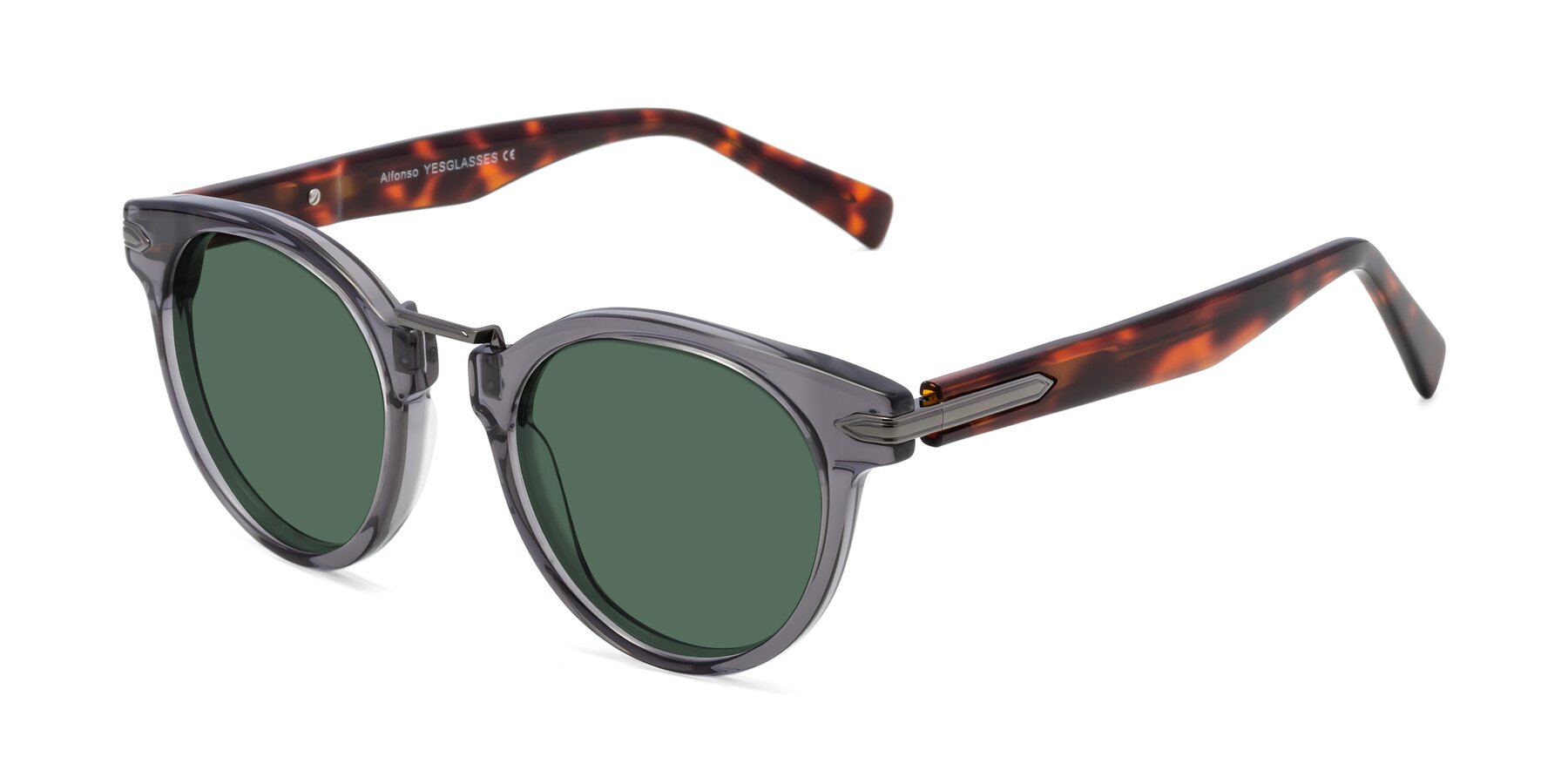 Angle of Alfonso in Gray /Tortoise with Green Polarized Lenses