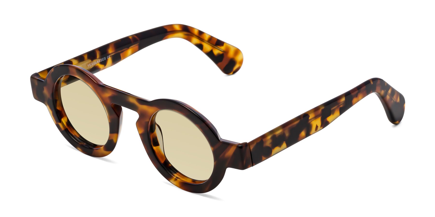 Angle of Oboe in Tortoise with Light Champagne Tinted Lenses