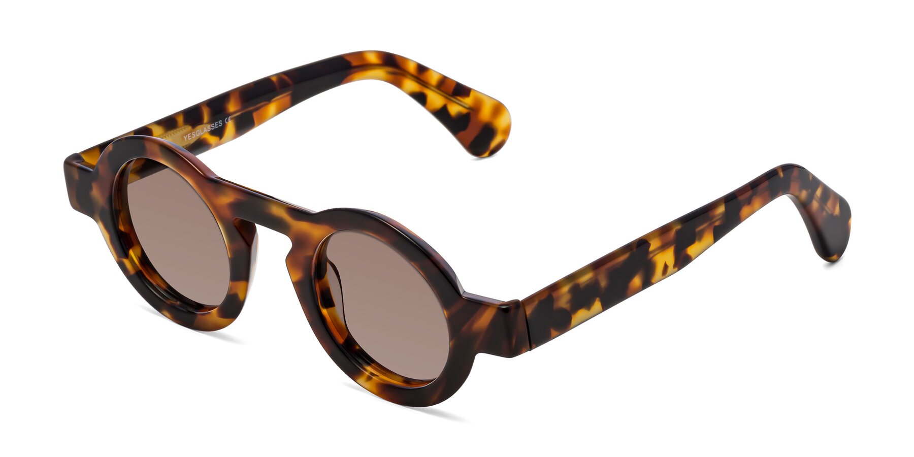Angle of Oboe in Tortoise with Medium Brown Tinted Lenses