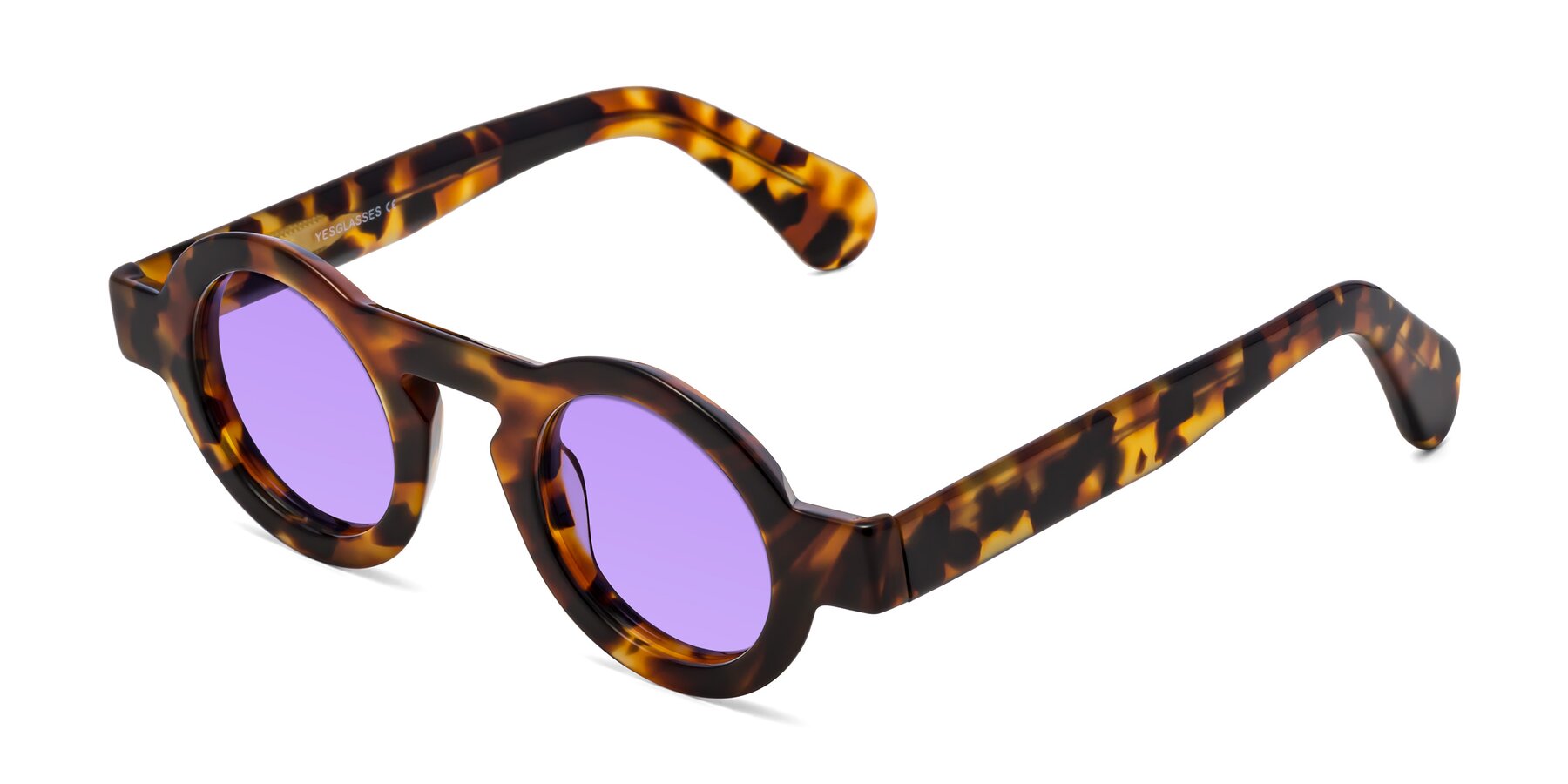 Angle of Oboe in Tortoise with Medium Purple Tinted Lenses