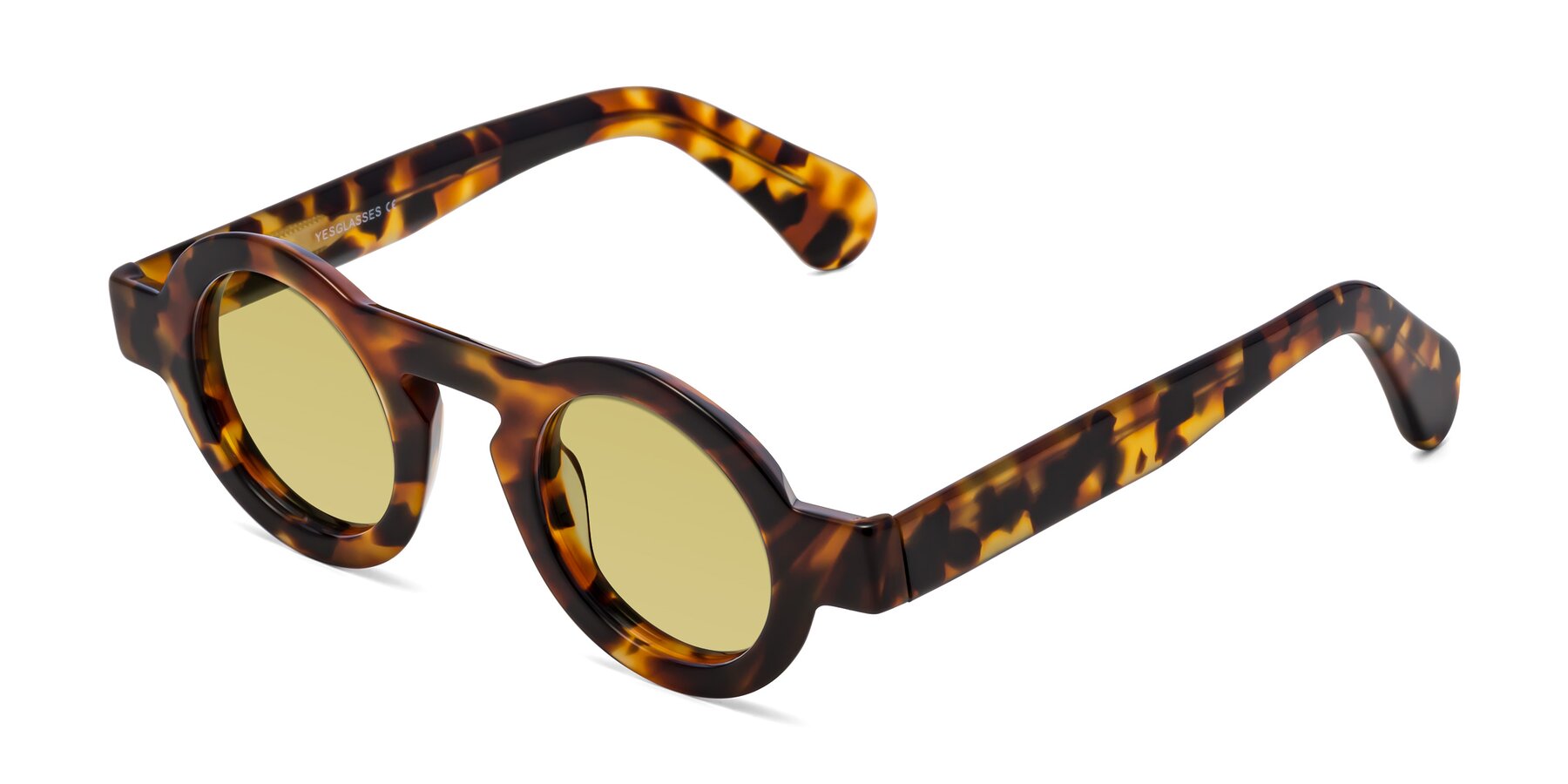 Angle of Oboe in Tortoise with Medium Champagne Tinted Lenses