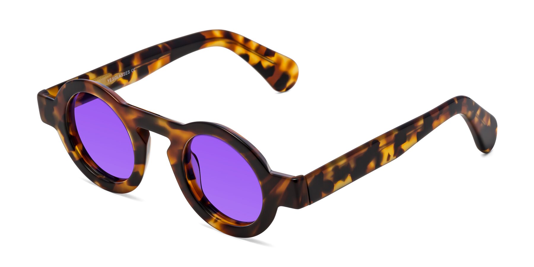 Angle of Oboe in Tortoise with Purple Tinted Lenses