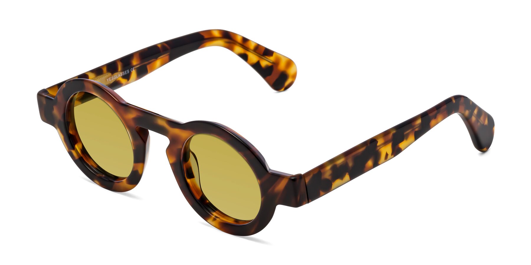 Angle of Oboe in Tortoise with Champagne Tinted Lenses
