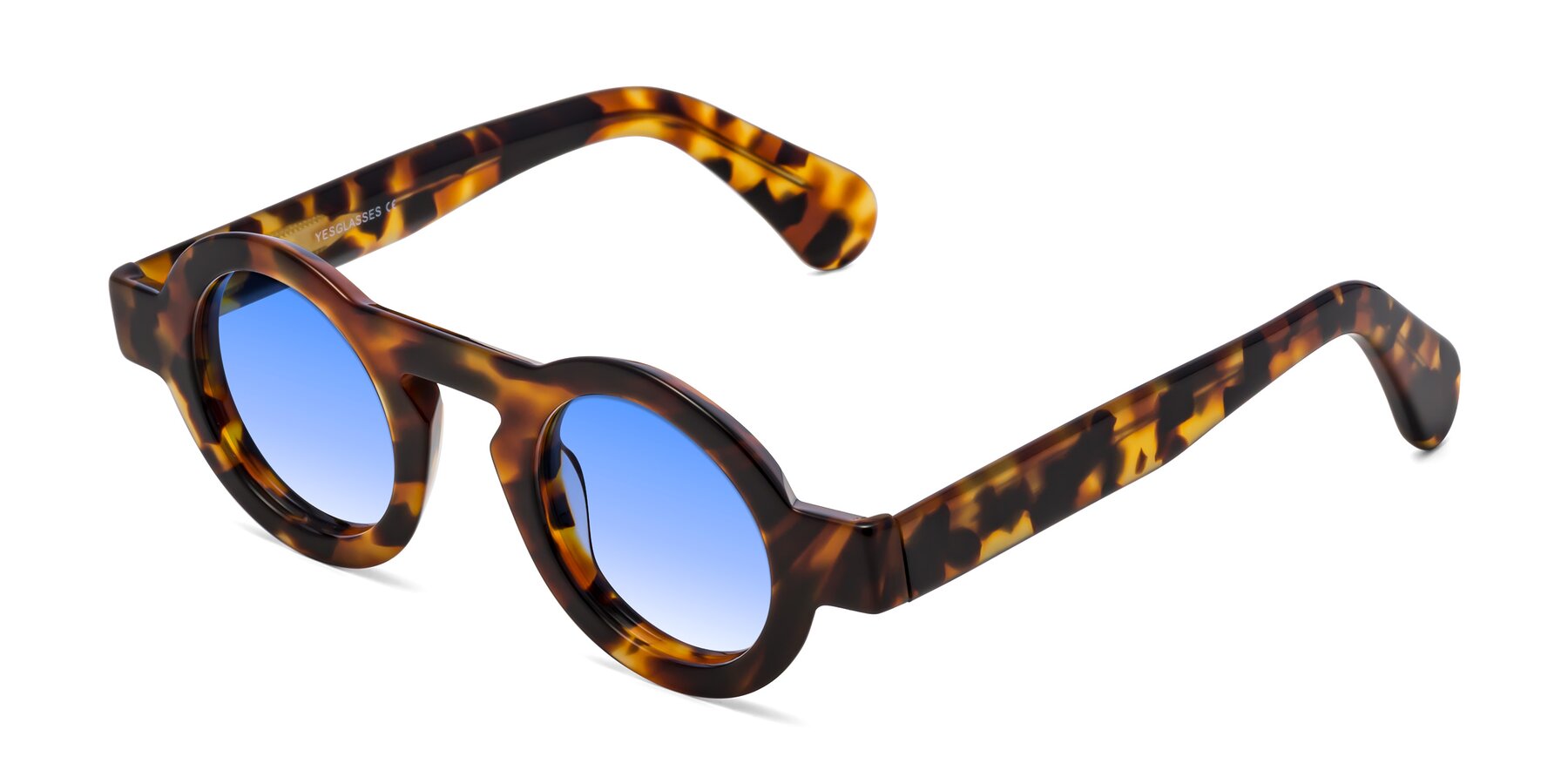 Angle of Oboe in Tortoise with Blue Gradient Lenses
