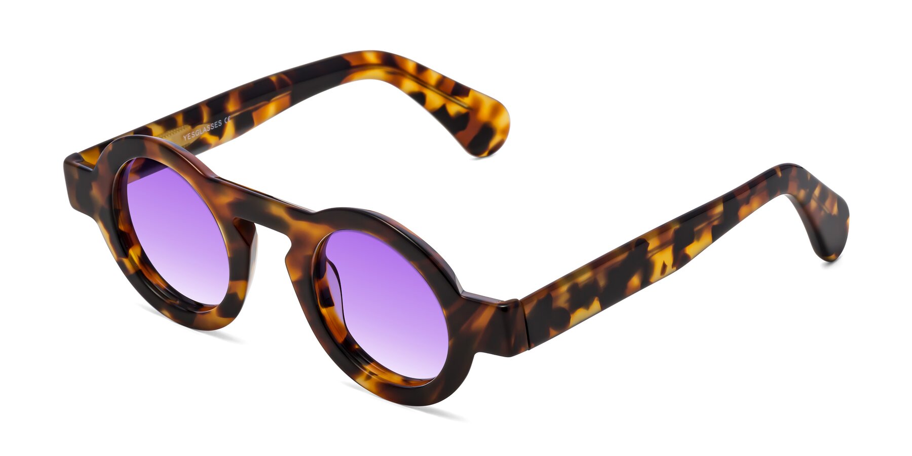 Angle of Oboe in Tortoise with Purple Gradient Lenses