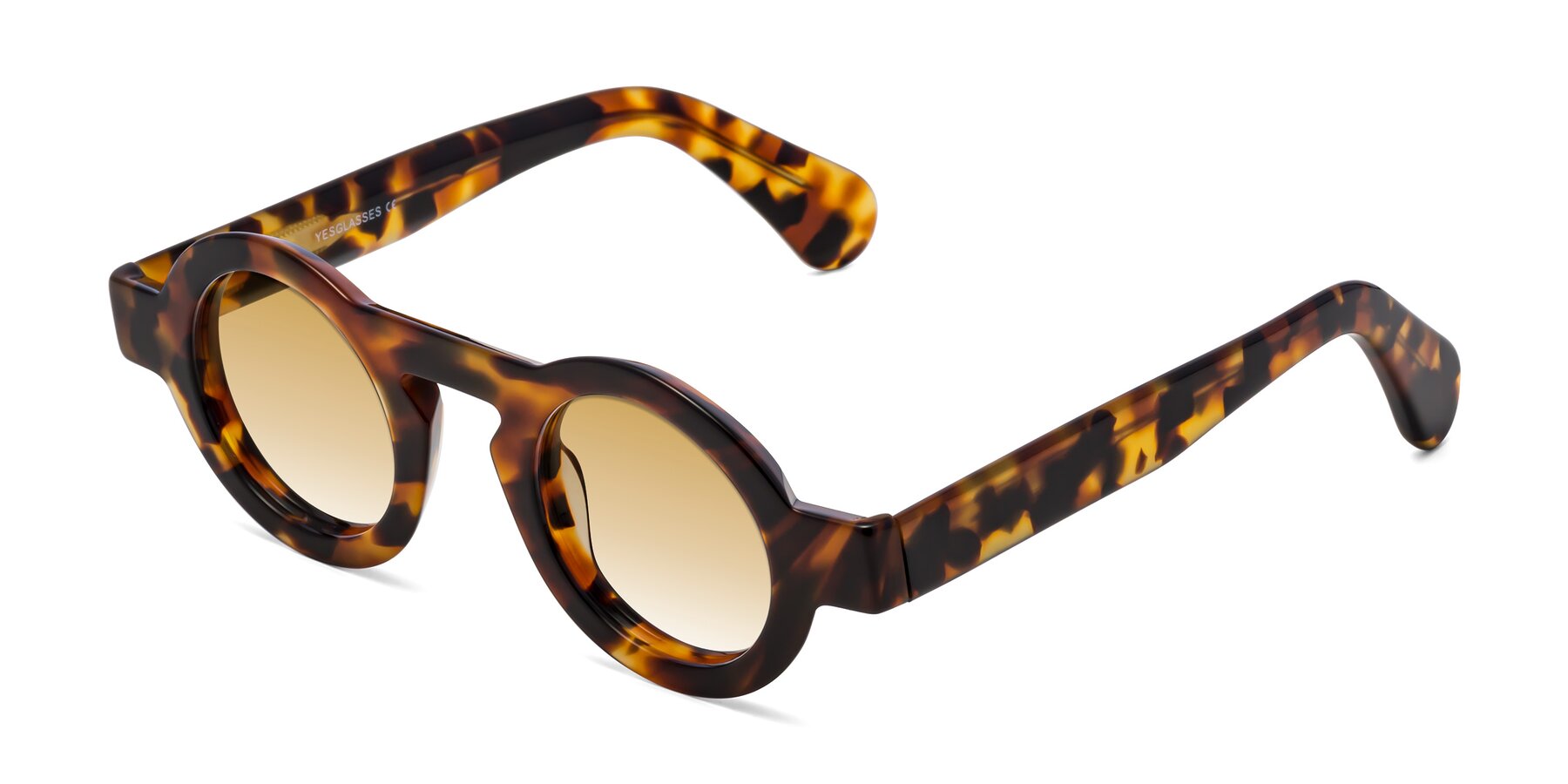 Angle of Oboe in Tortoise with Champagne Gradient Lenses
