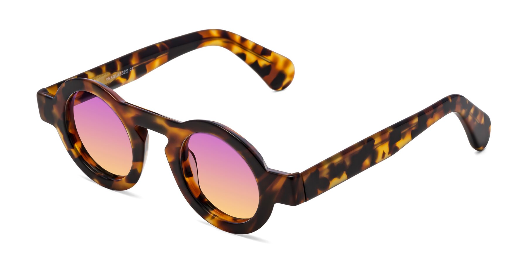 Angle of Oboe in Tortoise with Purple / Yellow Gradient Lenses