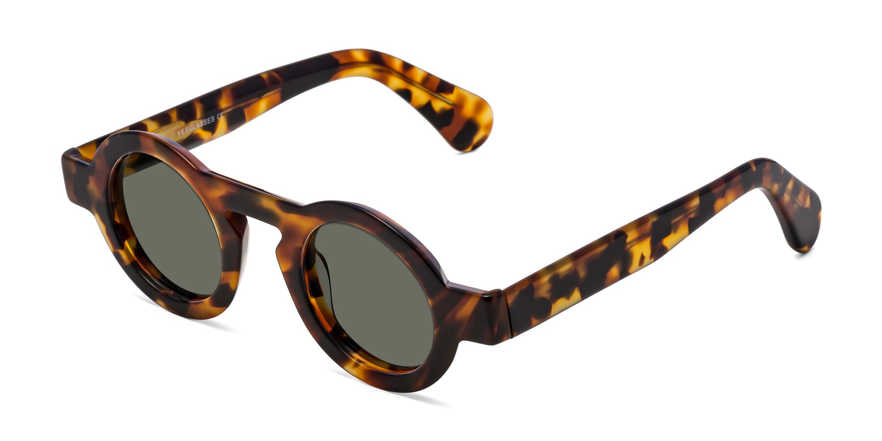 Angle of Oboe in Tortoise with Gray Polarized Lenses