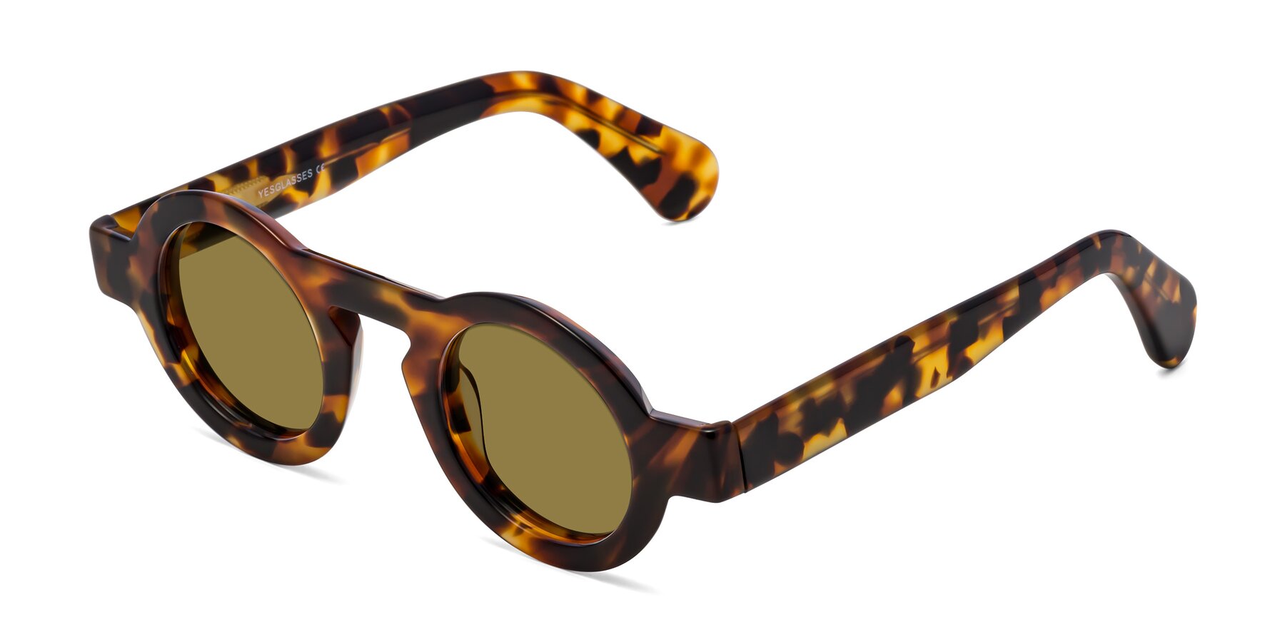 Angle of Oboe in Tortoise with Brown Polarized Lenses
