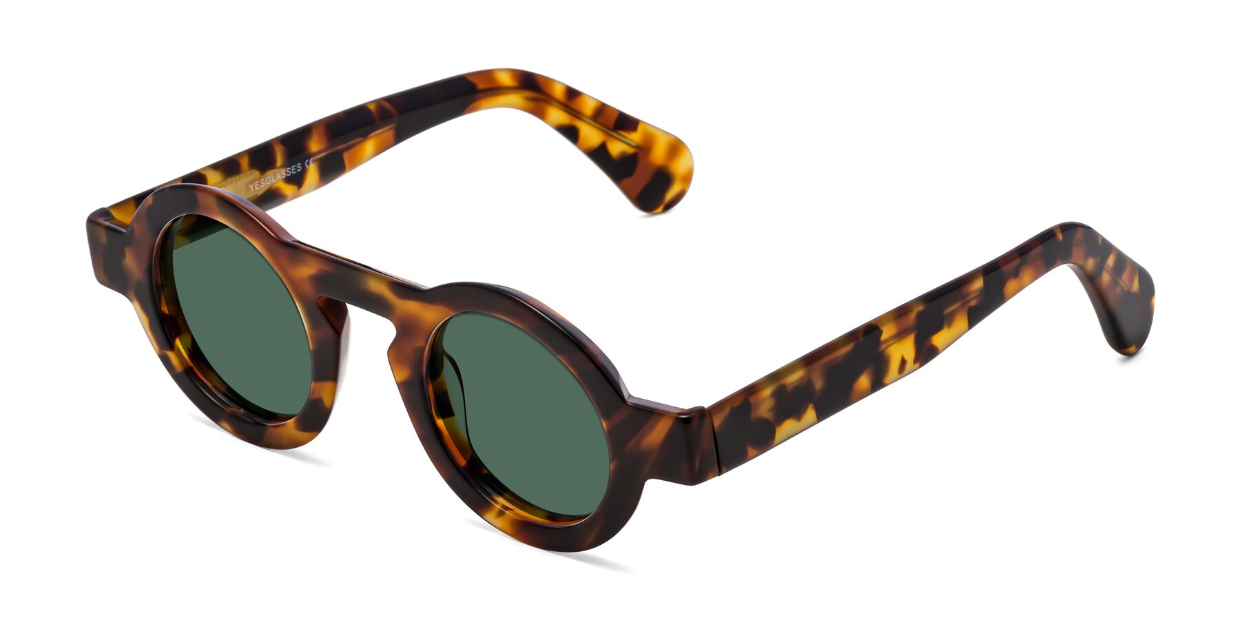 Angle of Oboe in Tortoise with Green Polarized Lenses