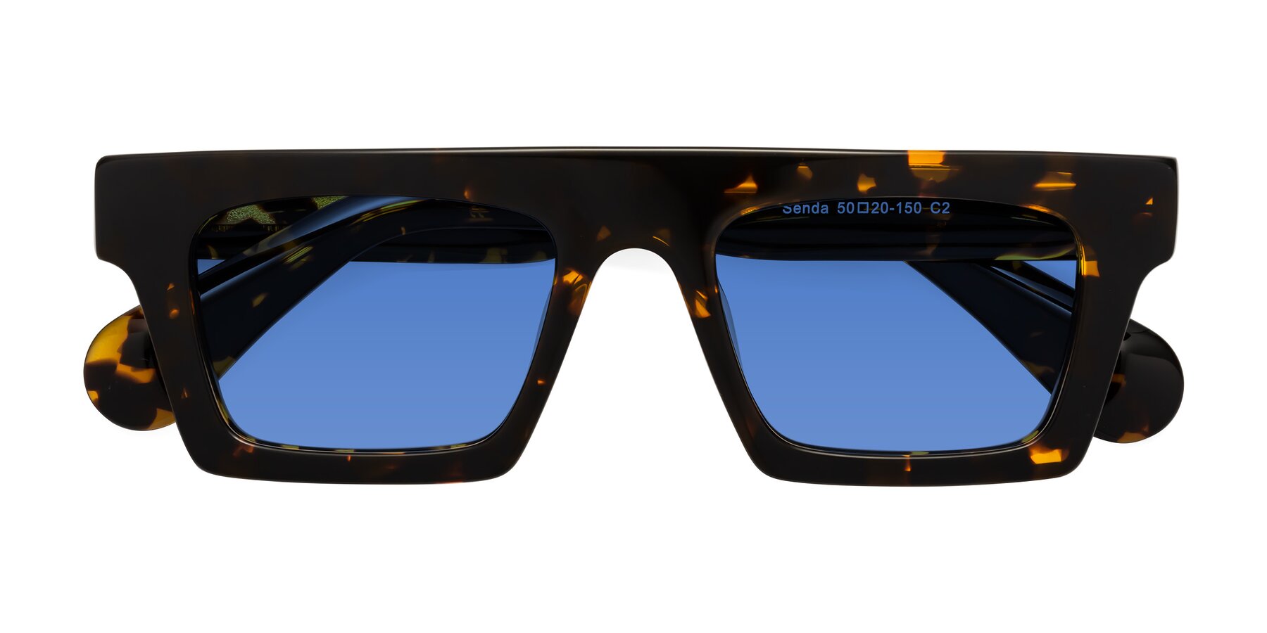 Folded Front of Senda in Tortoise with Blue Tinted Lenses