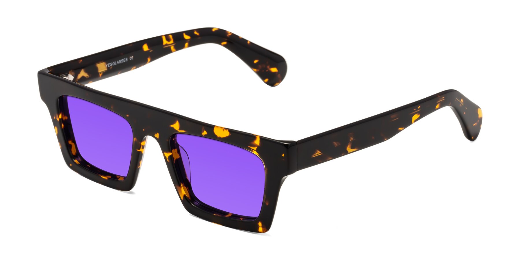 Angle of Senda in Tortoise with Purple Tinted Lenses