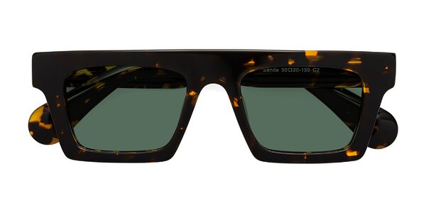 Front of Senda in Tortoise