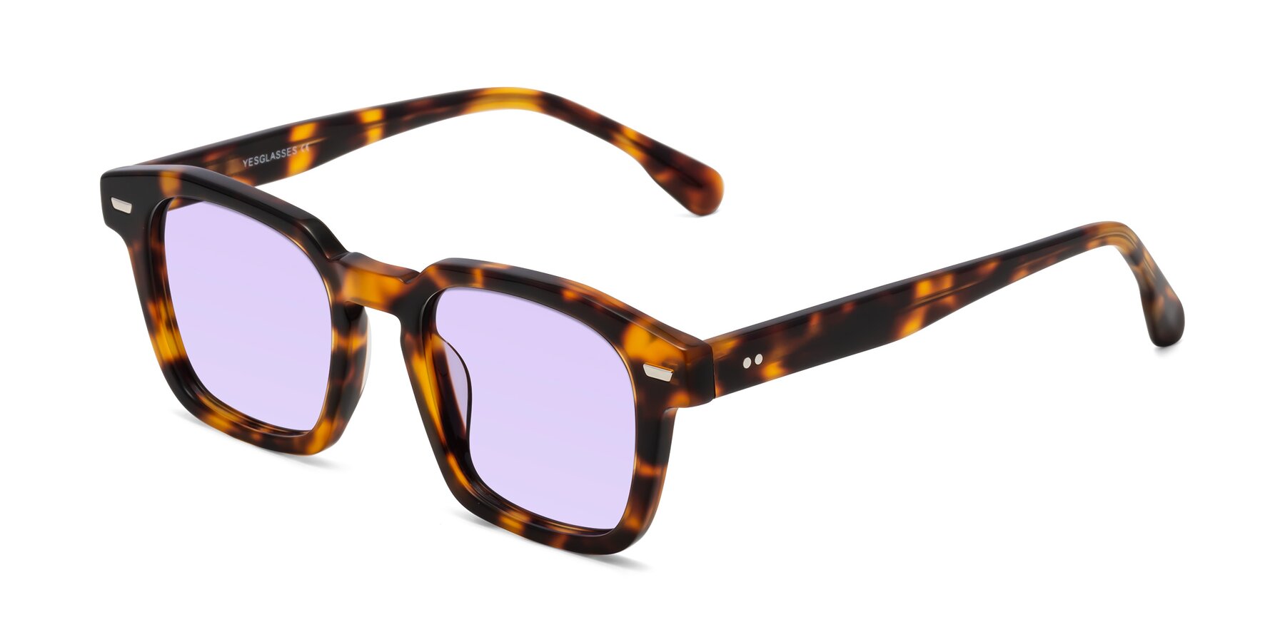 Angle of Finesse in Tortoise with Light Purple Tinted Lenses
