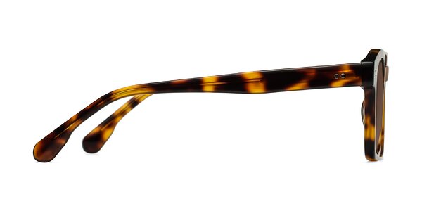 Tortoise Retro-Vintage Acetate Trapezoid Tinted Sunglasses with Brown ...