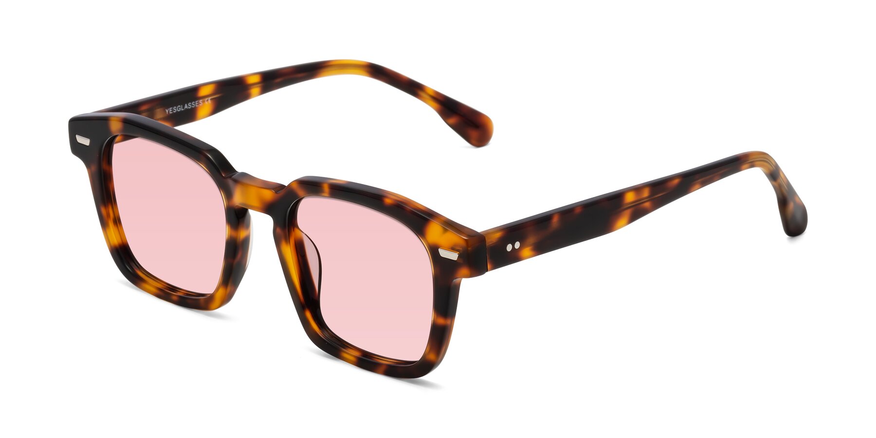 Angle of Finesse in Tortoise with Light Garnet Tinted Lenses