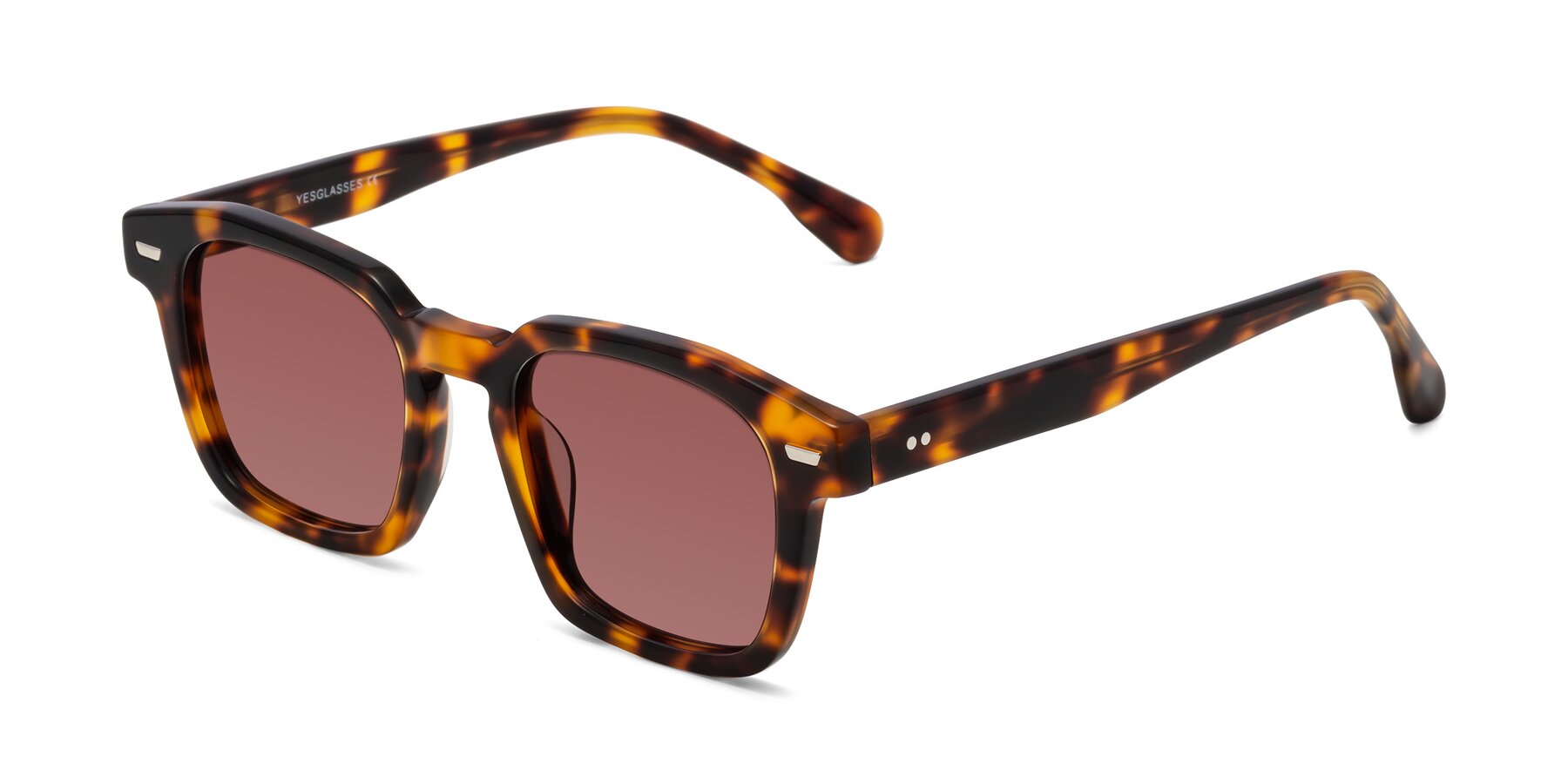 Angle of Finesse in Tortoise with Garnet Tinted Lenses