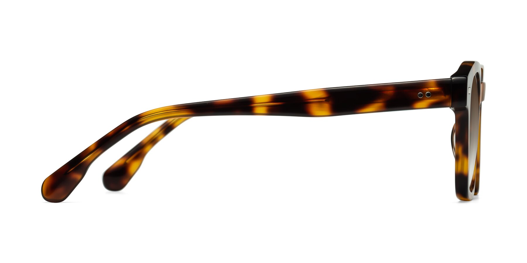 Side of Finesse in Tortoise with Brown Gradient Lenses