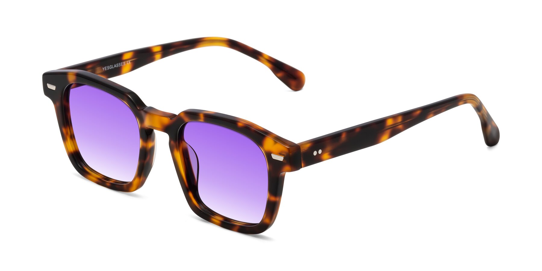 Angle of Finesse in Tortoise with Purple Gradient Lenses