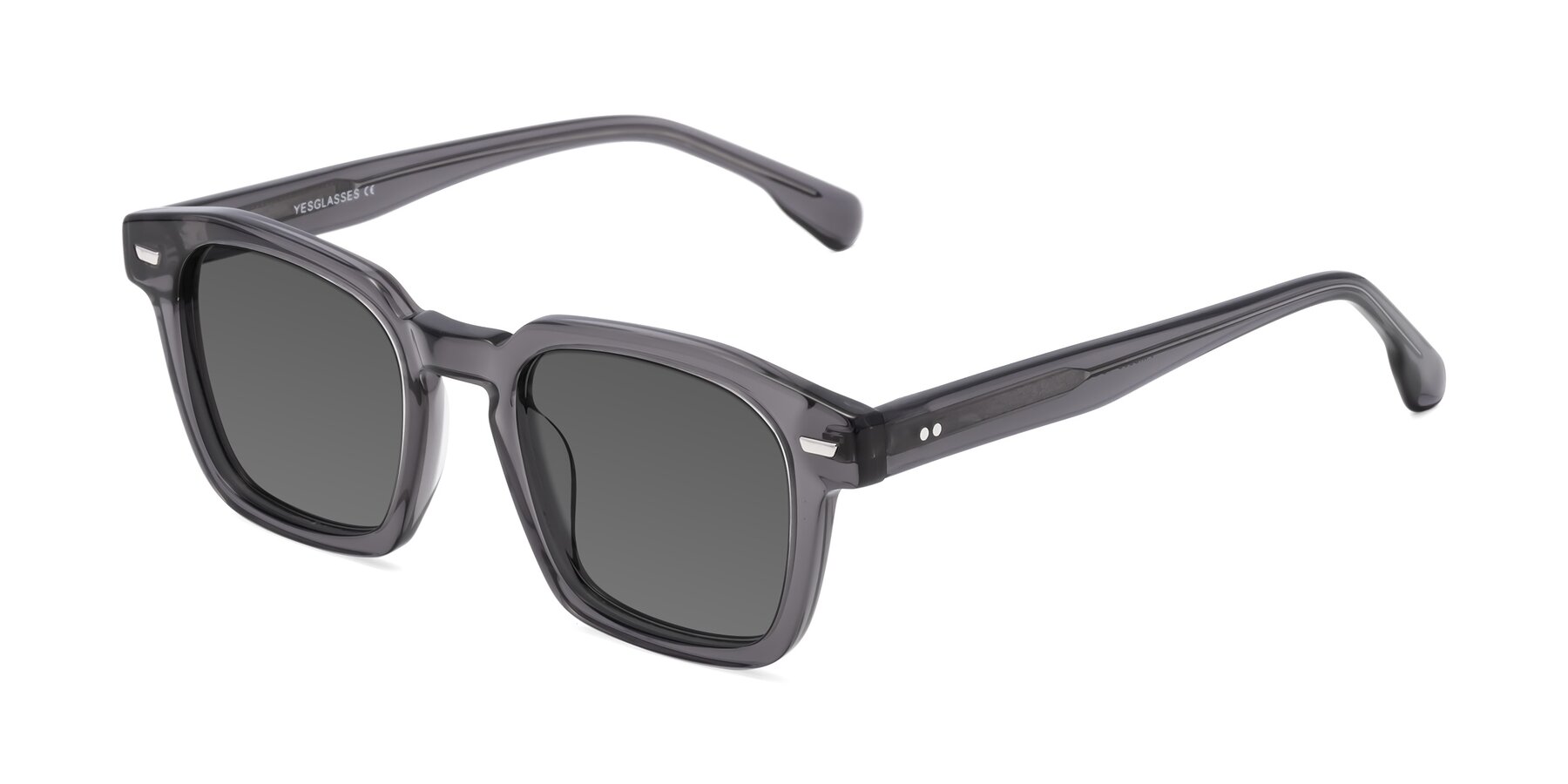 Angle of Finesse in Translucent Gray with Medium Gray Tinted Lenses