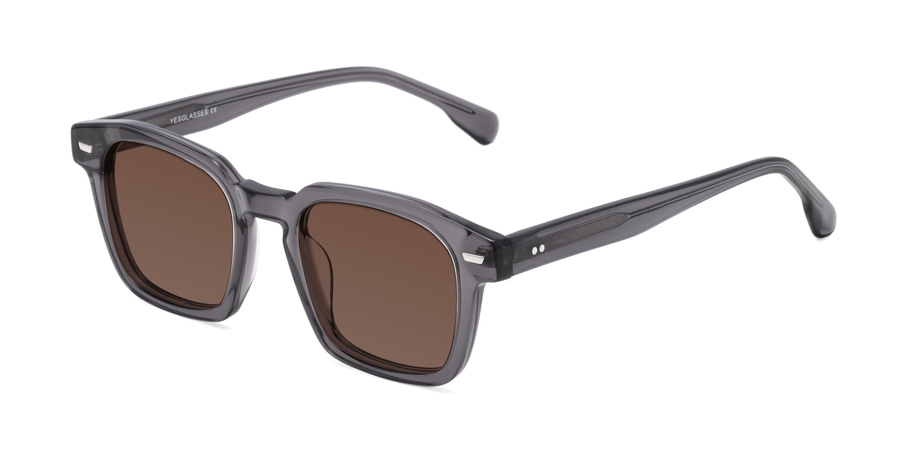 Angle of Finesse in Translucent Gray with Brown Tinted Lenses