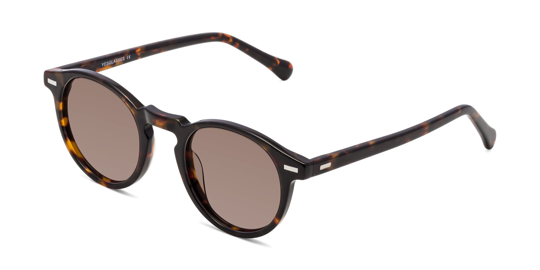 Angle of Anchorage in Tortoise with Medium Brown Tinted Lenses