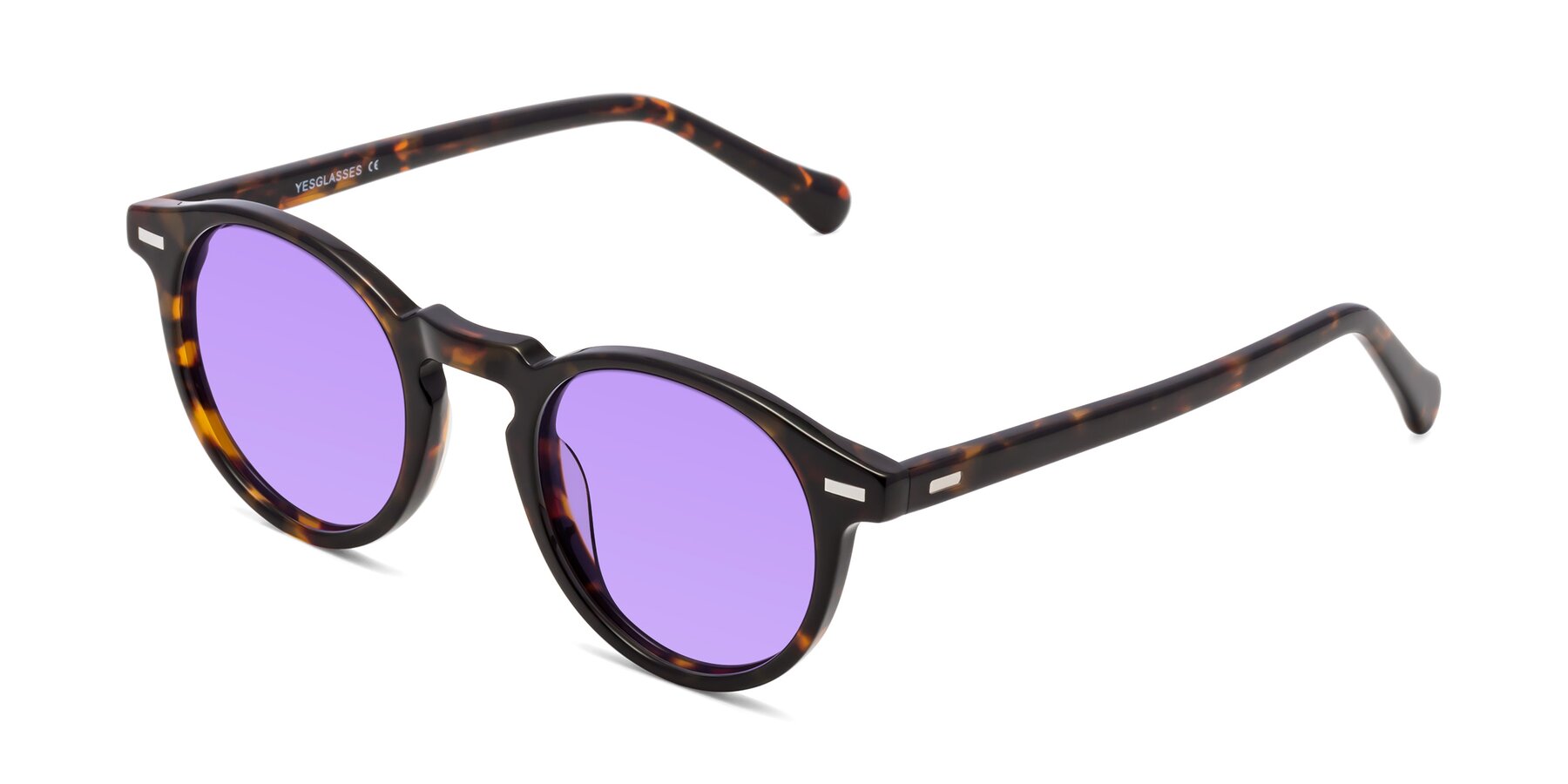 Angle of Anchorage in Tortoise with Medium Purple Tinted Lenses