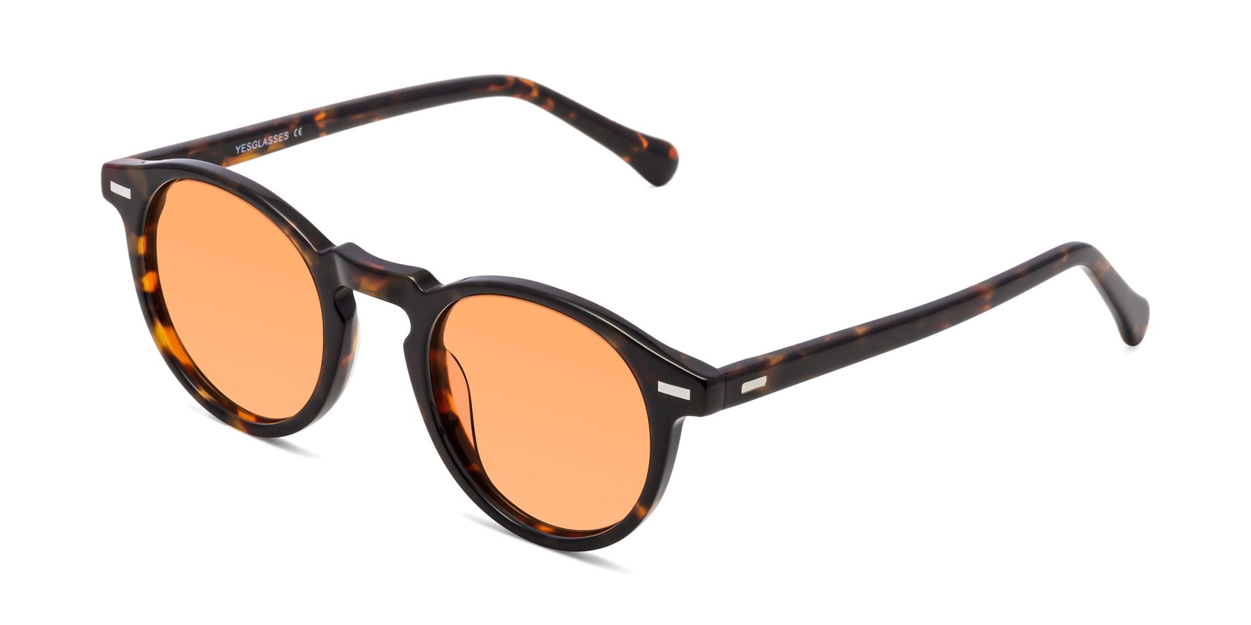 Angle of Anchorage in Tortoise with Medium Orange Tinted Lenses