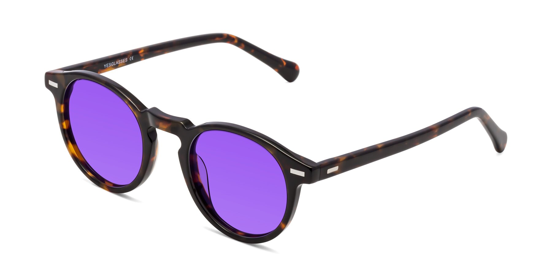 Angle of Anchorage in Tortoise with Purple Tinted Lenses
