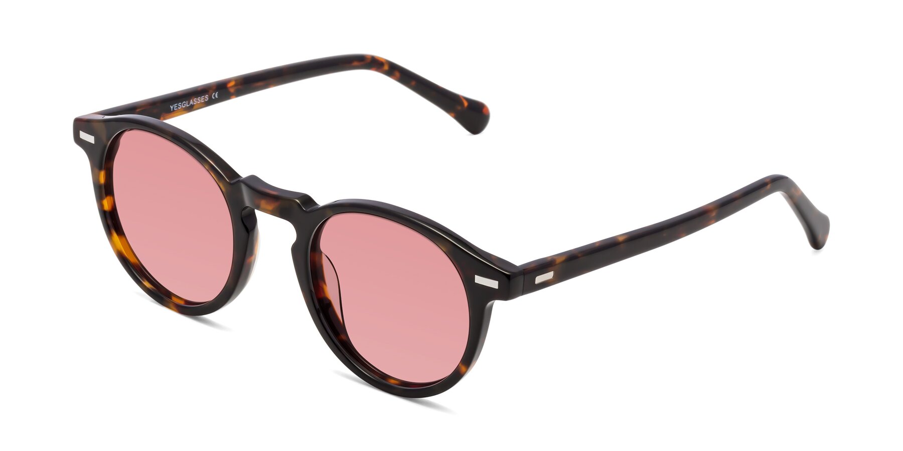 Angle of Anchorage in Tortoise with Medium Garnet Tinted Lenses