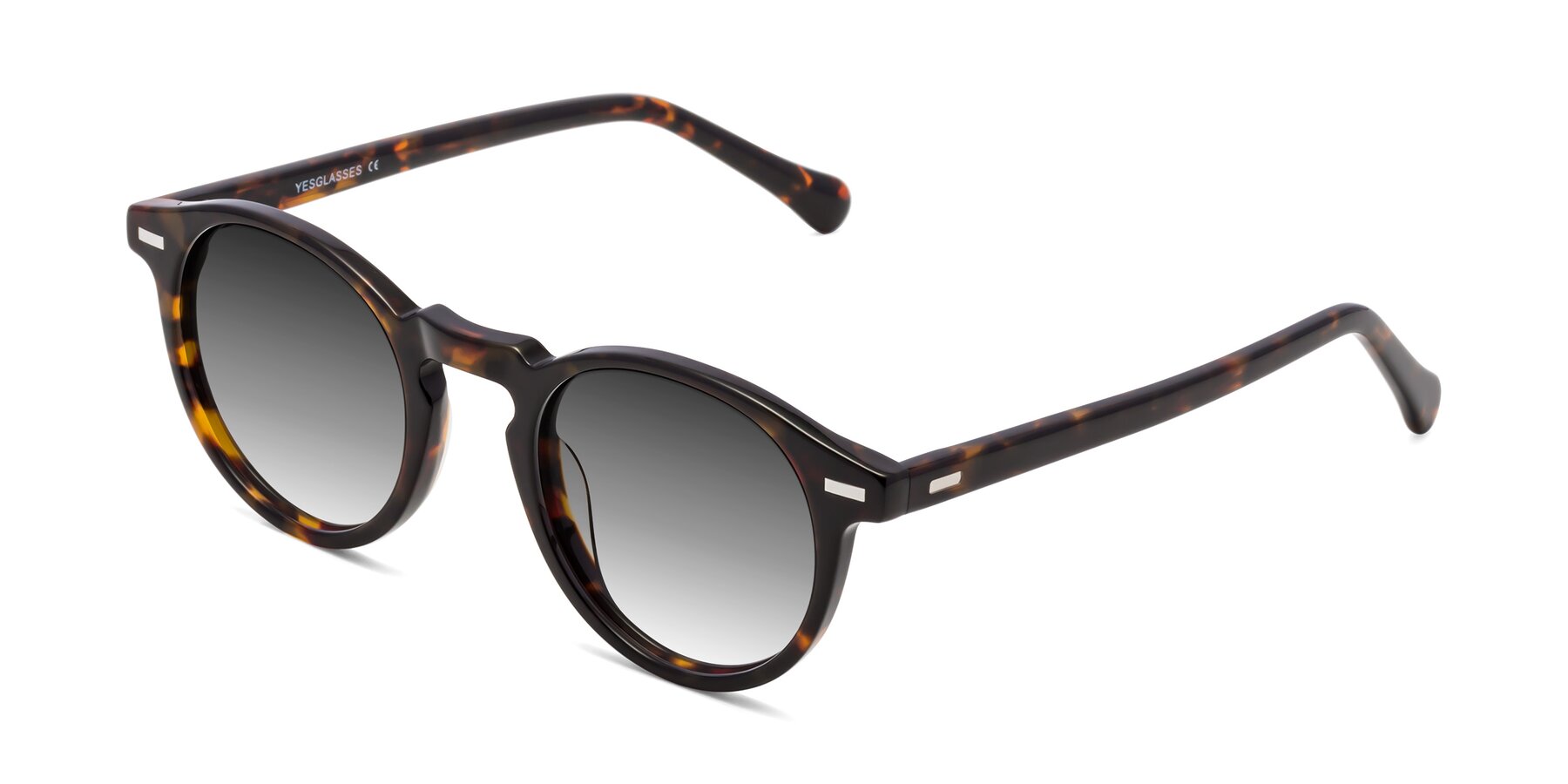 Angle of Anchorage in Tortoise with Gray Gradient Lenses