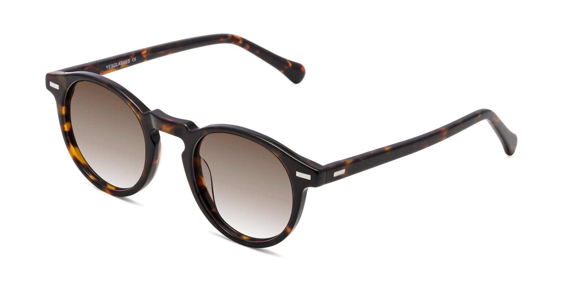 Angle of Anchorage in Tortoise with Brown Gradient Lenses