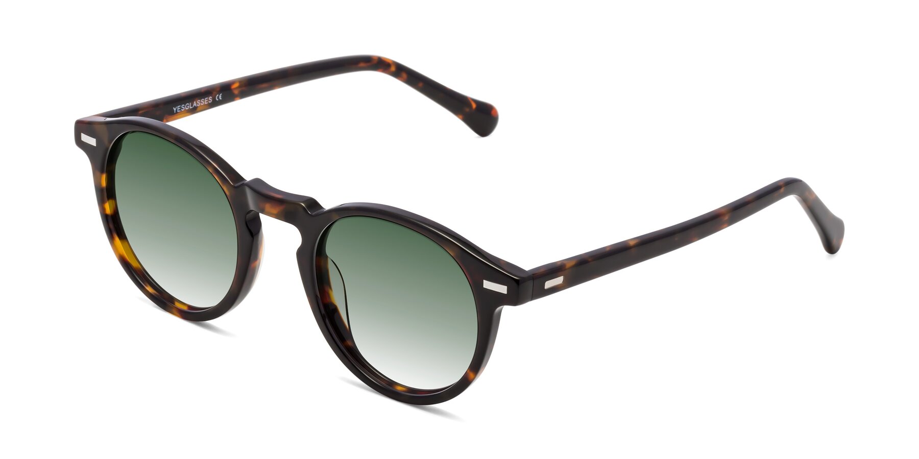 Angle of Anchorage in Tortoise with Green Gradient Lenses