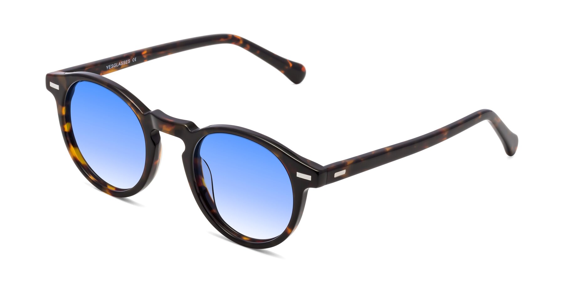 Angle of Anchorage in Tortoise with Blue Gradient Lenses