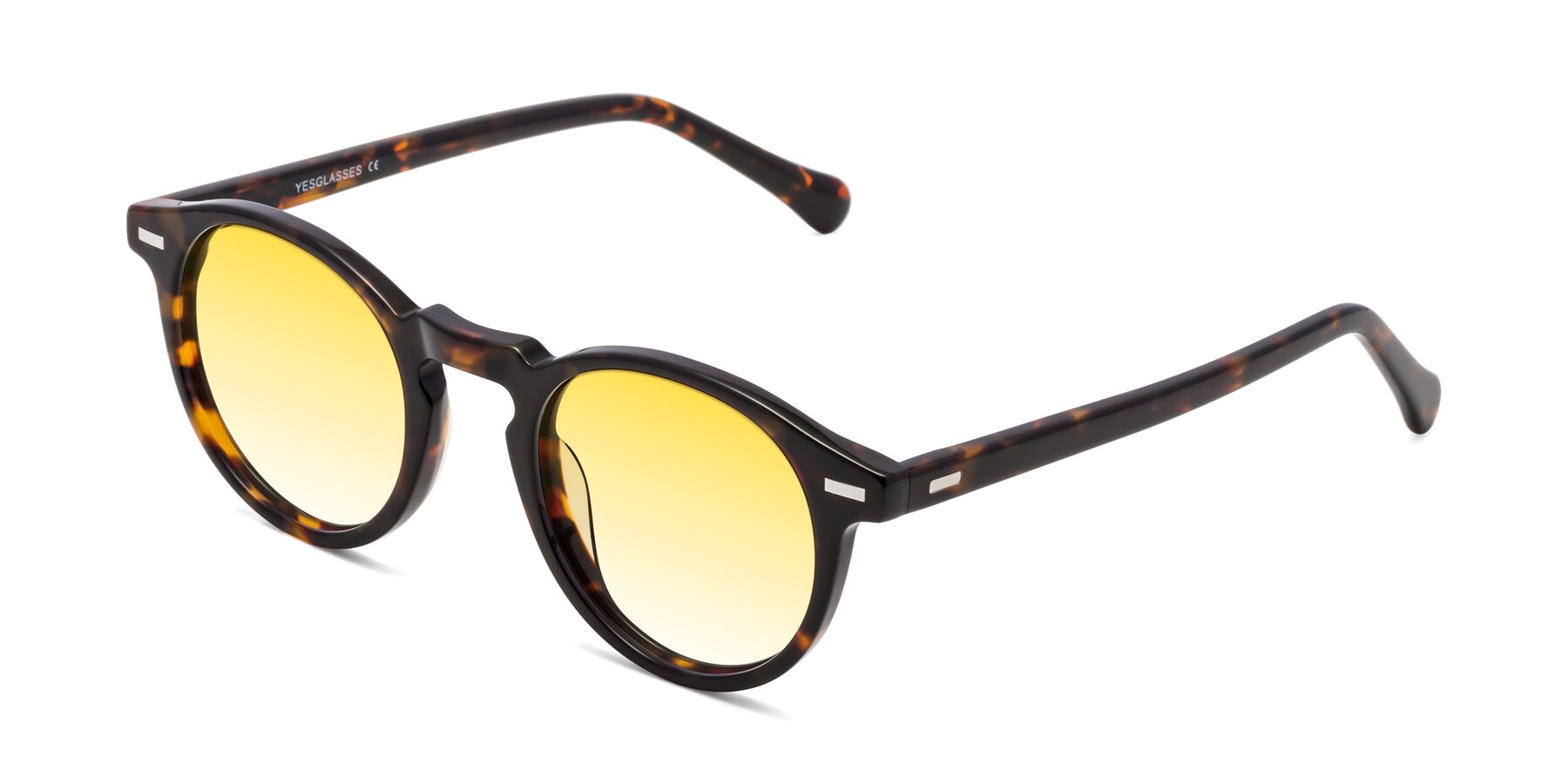 Angle of Anchorage in Tortoise with Yellow Gradient Lenses