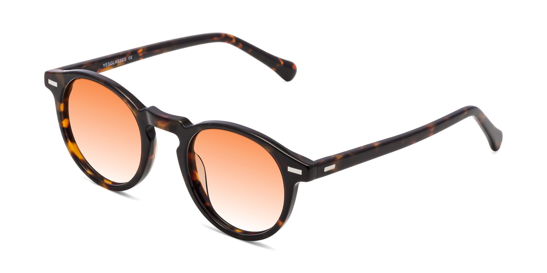 Angle of Anchorage in Tortoise with Orange Gradient Lenses