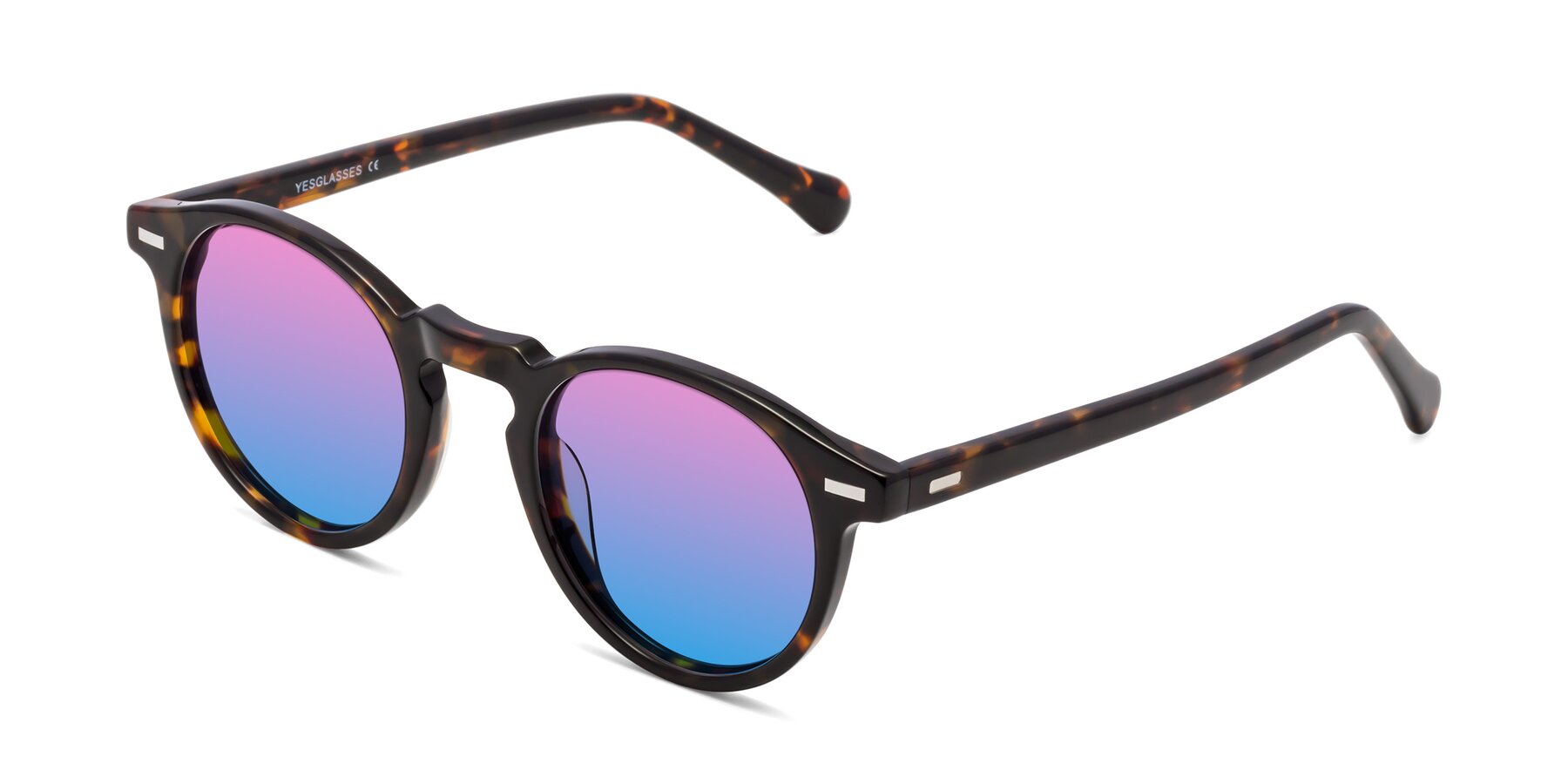 Angle of Anchorage in Tortoise with Pink / Blue Gradient Lenses