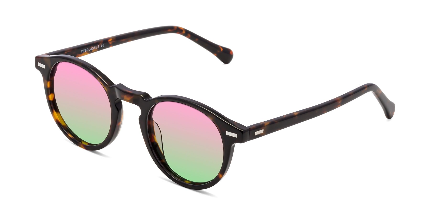 Angle of Anchorage in Tortoise with Pink / Green Gradient Lenses