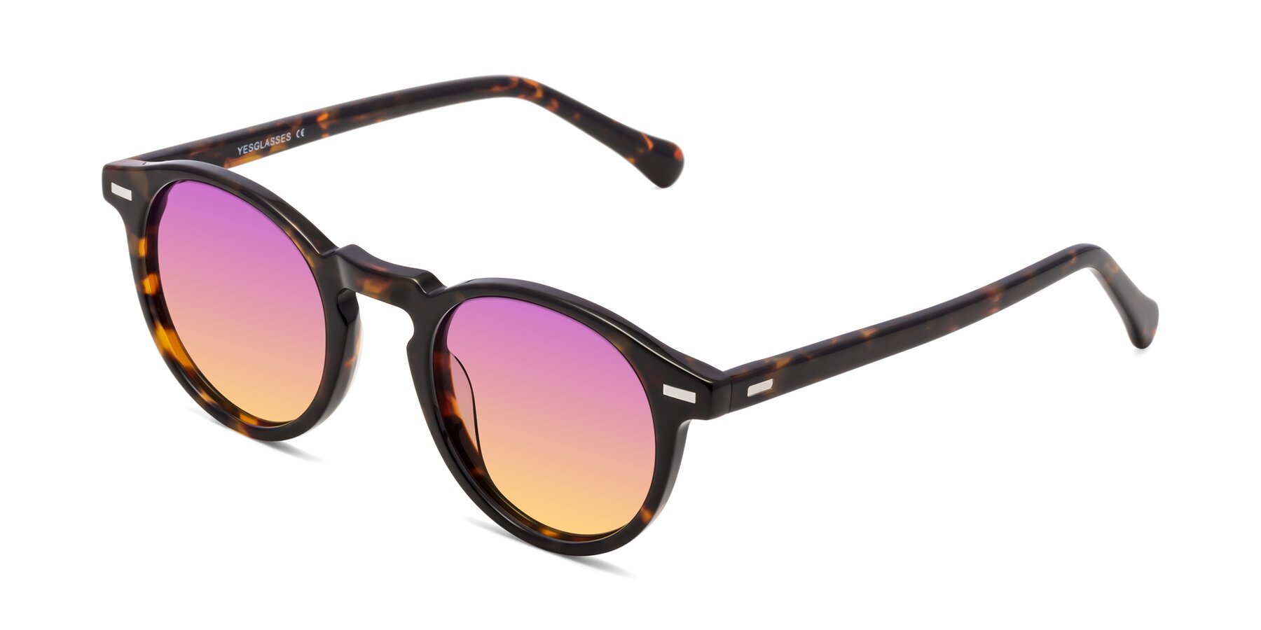 Angle of Anchorage in Tortoise with Purple / Yellow Gradient Lenses
