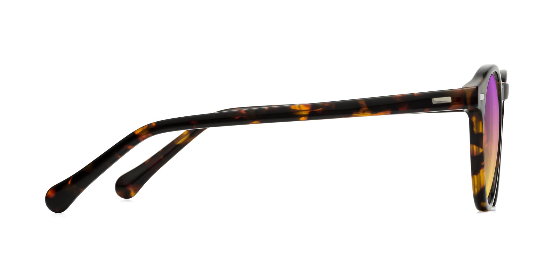 Side of Anchorage in Tortoise with Purple / Yellow Gradient Lenses