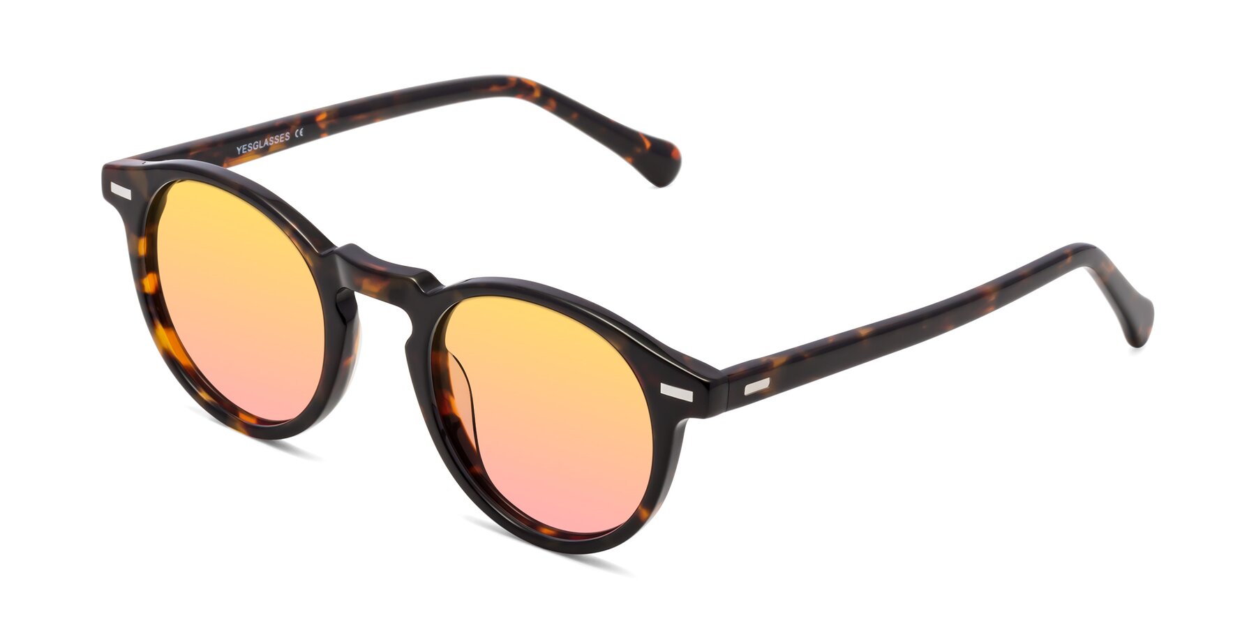 Angle of Anchorage in Tortoise with Yellow / Pink Gradient Lenses
