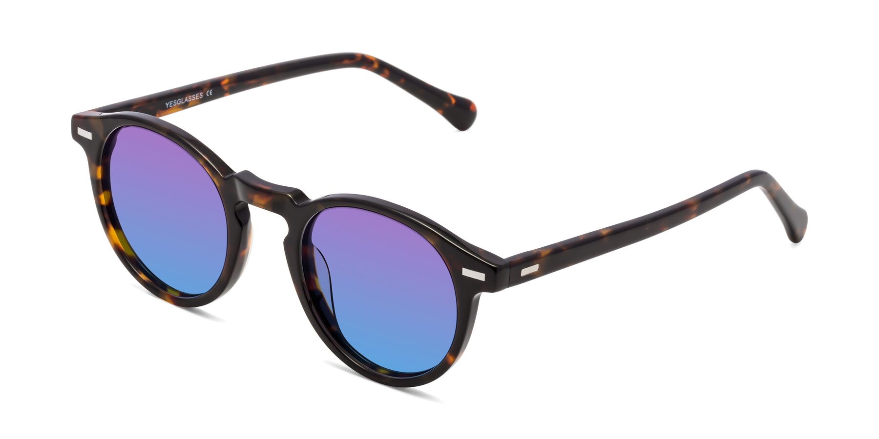 Angle of Anchorage in Tortoise with Purple / Blue Gradient Lenses