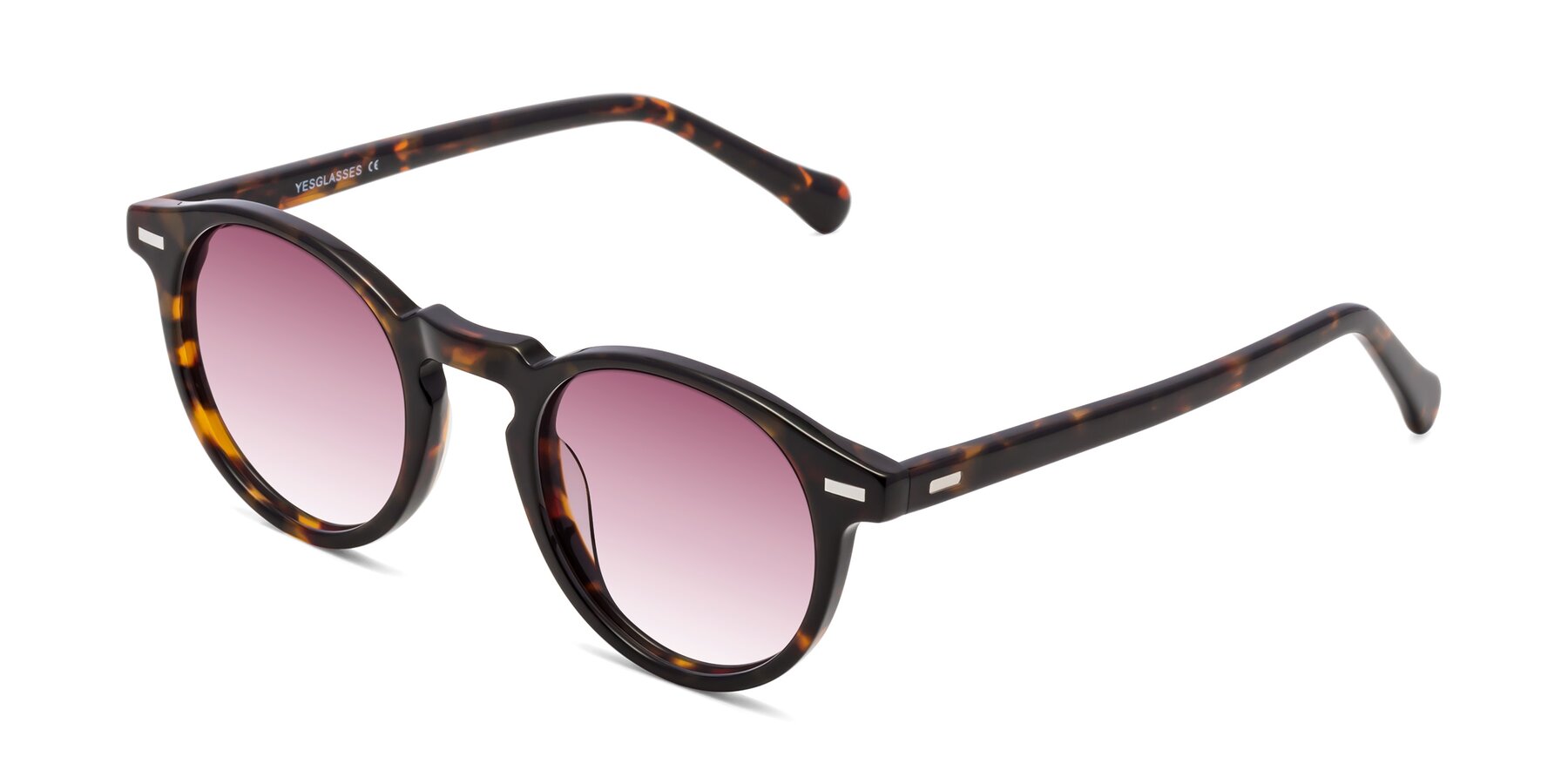 Angle of Anchorage in Tortoise with Wine Gradient Lenses