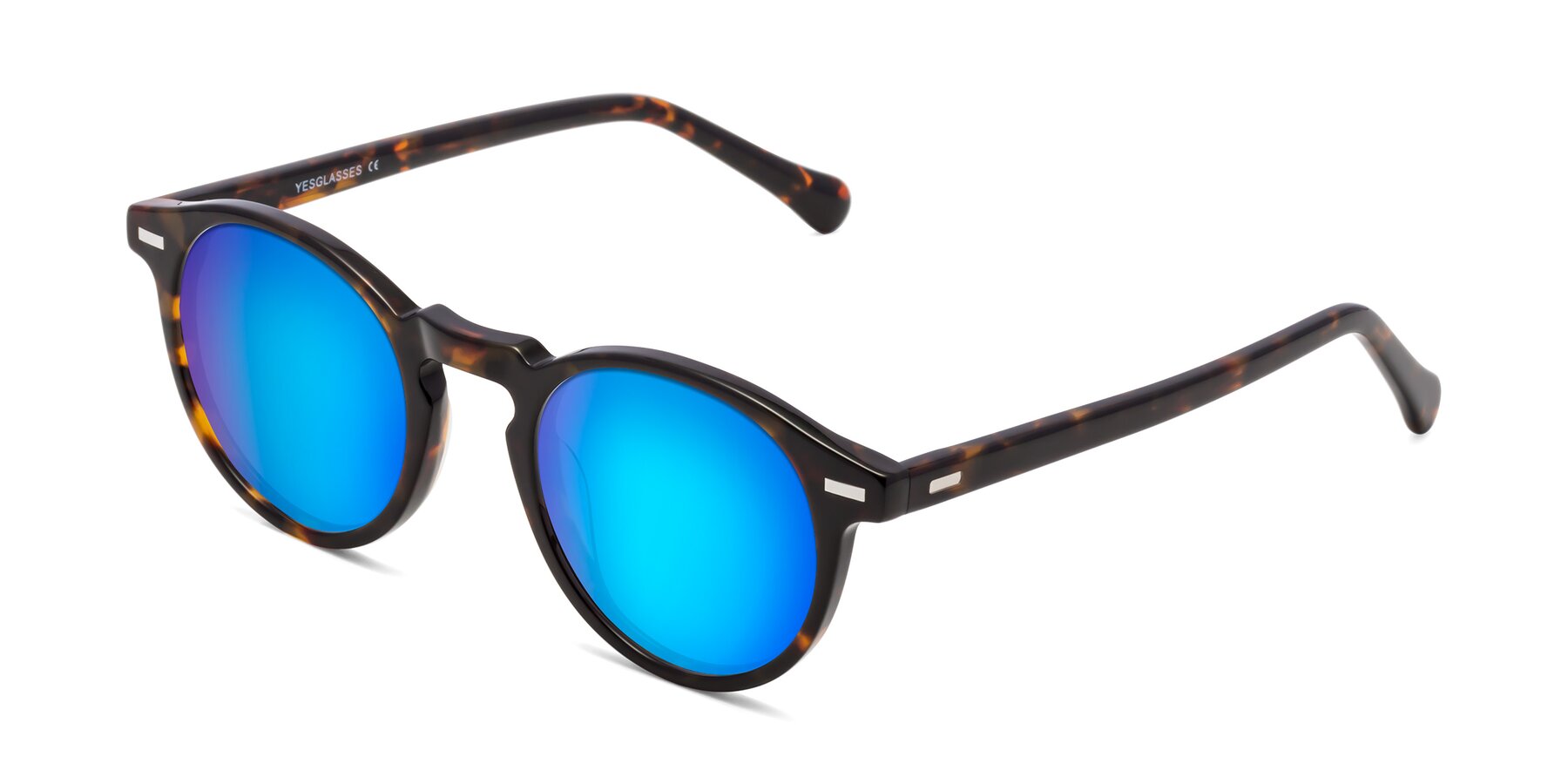 Angle of Anchorage in Tortoise with Blue Mirrored Lenses