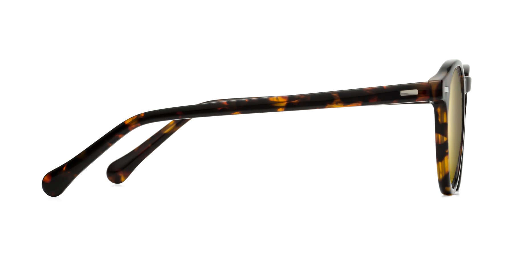 Side of Anchorage in Tortoise with Gold Mirrored Lenses