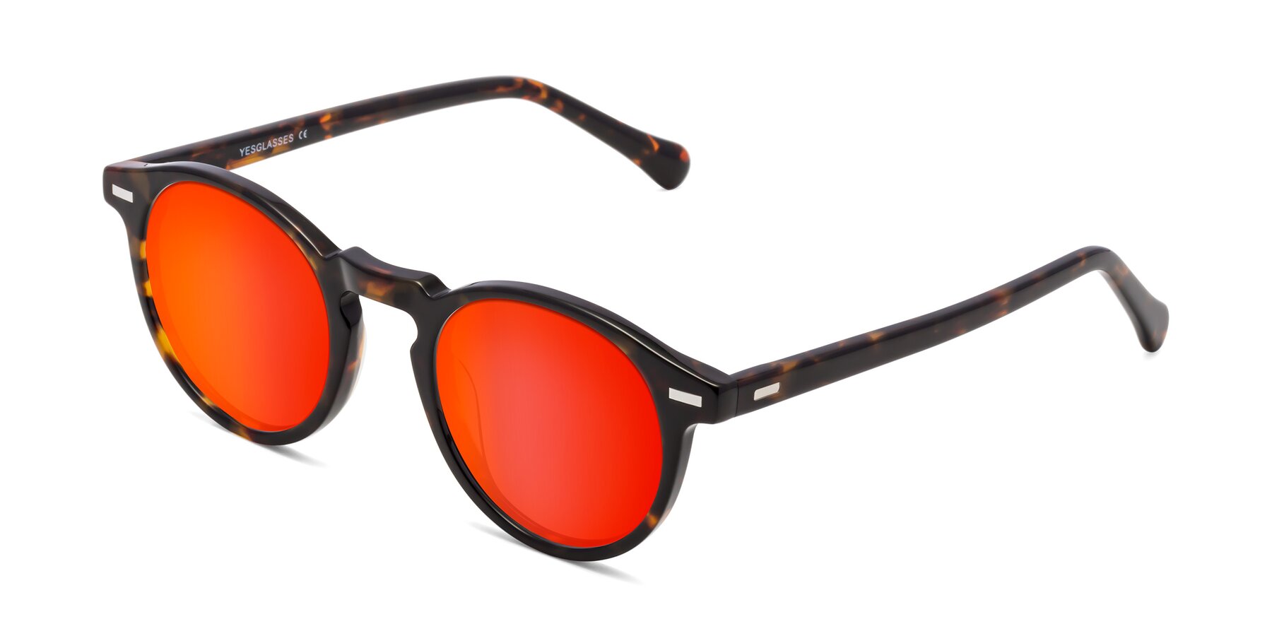 Angle of Anchorage in Tortoise with Red Gold Mirrored Lenses