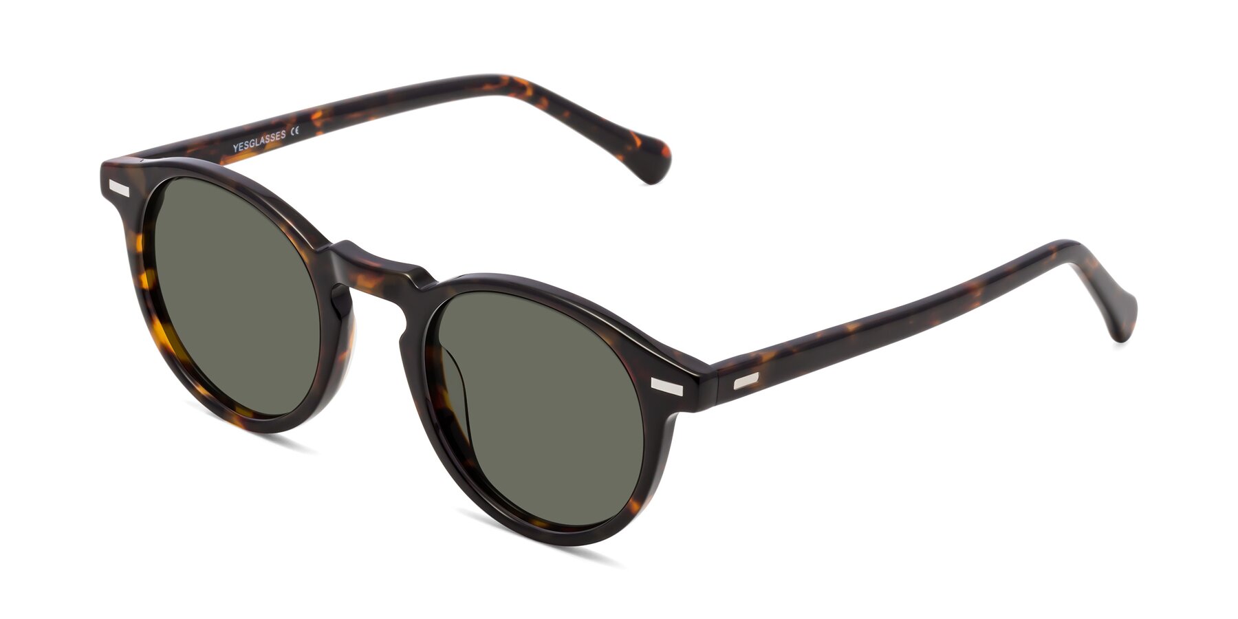 Angle of Anchorage in Tortoise with Gray Polarized Lenses